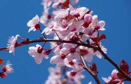 温活サロン4月定休日